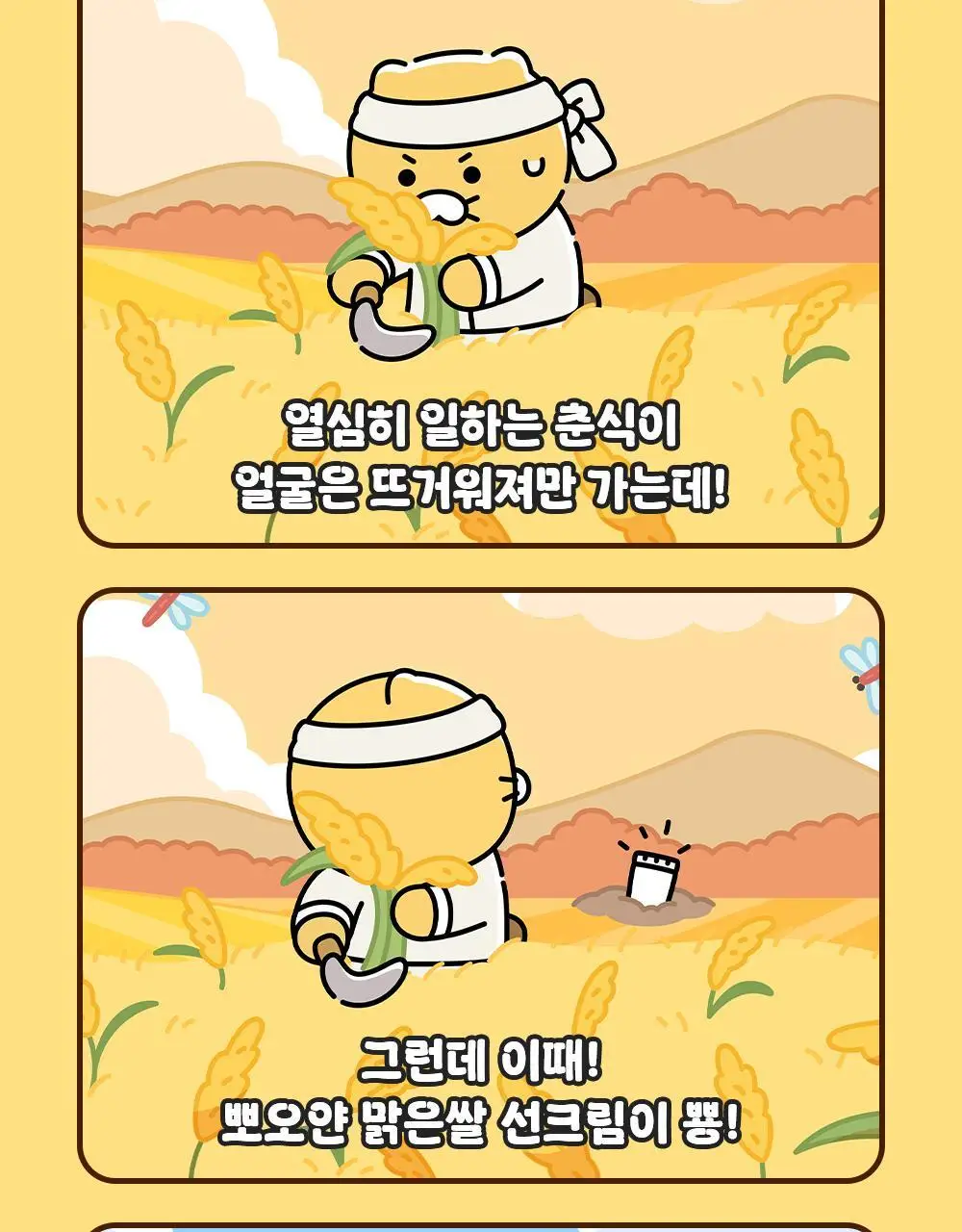 [화잘먹/농부춘식이키링] 조선미녀 맑은쌀 선크림 50ml+20ml 증정 기획 상세페이지 3